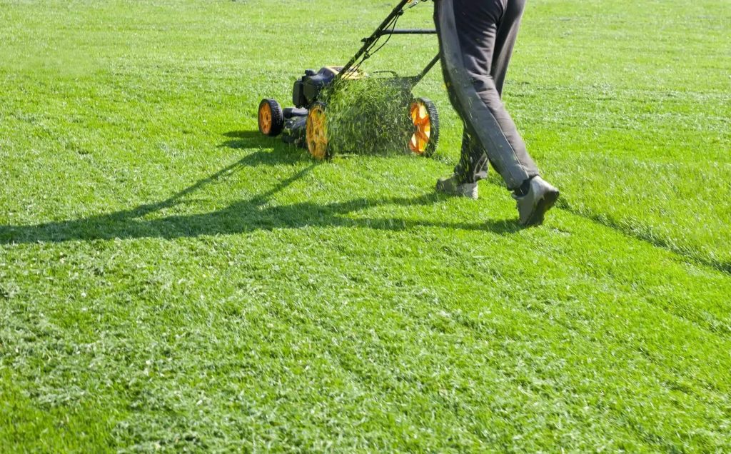 Grass Cutting in Dublin