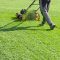 Grass Cutting in Dublin